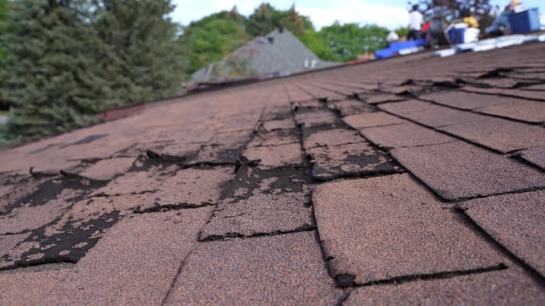 Best Roof Insulation Installation  in Arlington, NY