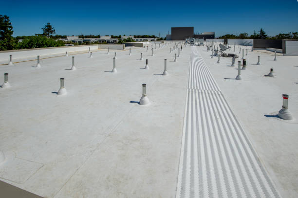 Best Roof Maintenance and Cleaning  in Arlington, NY